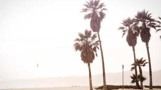 红桃免费视频网站-纪录片片段